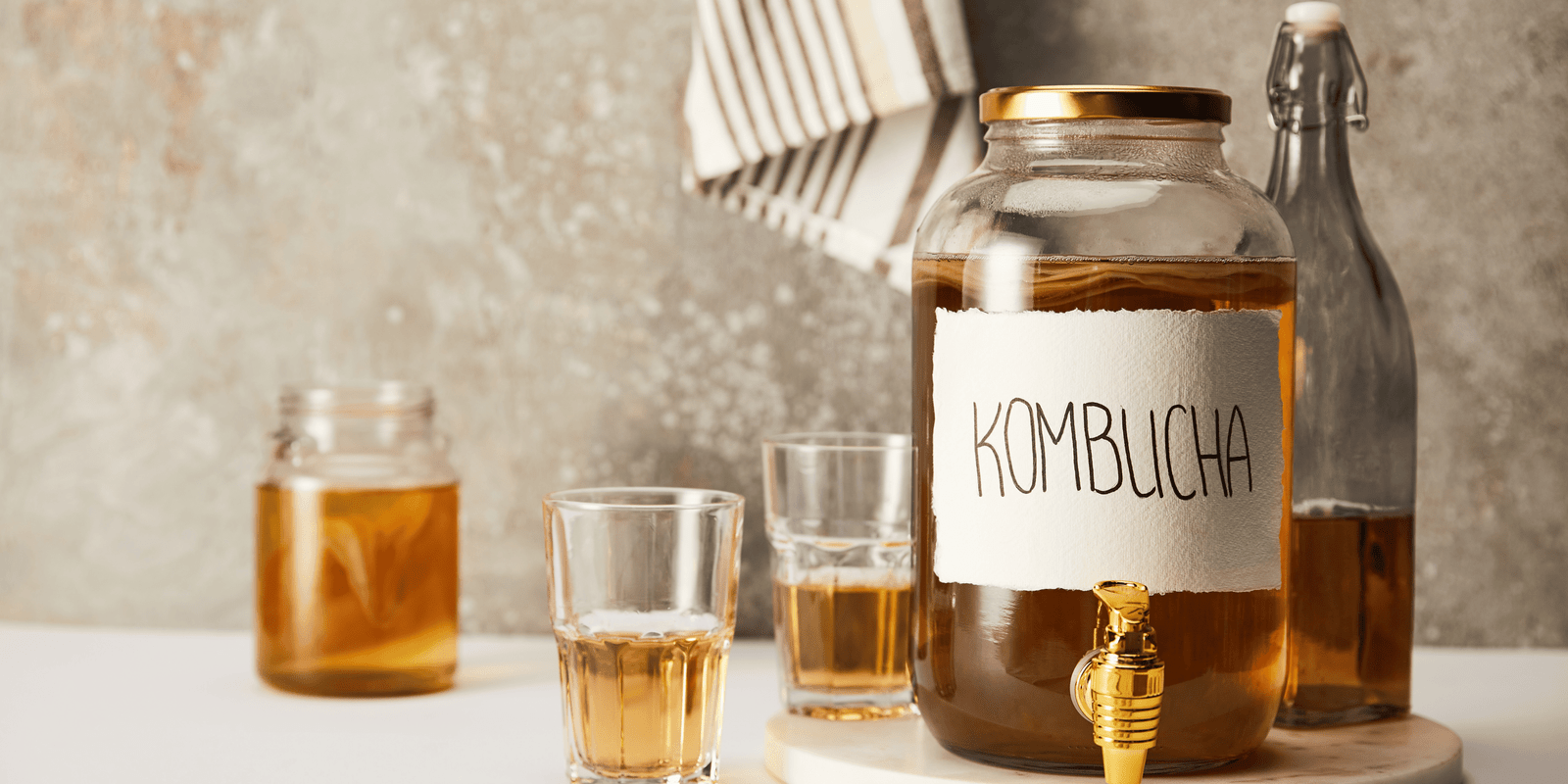 kombucha recipes