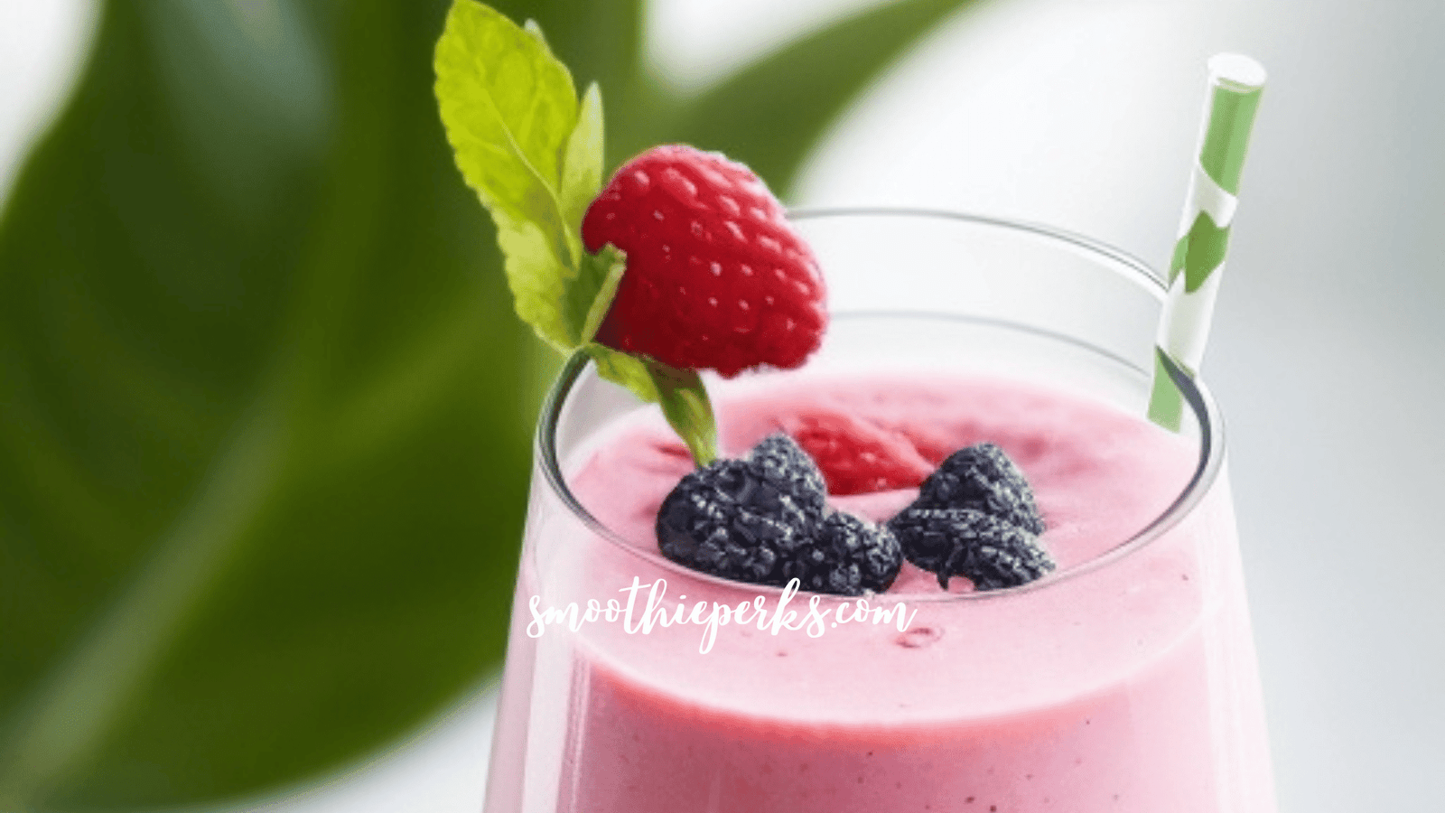 The Ultimate Cold & Influenza Fighting Smoothie Recipe